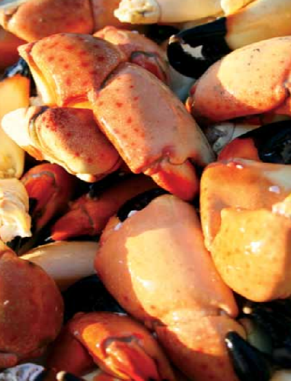 Crab Claws